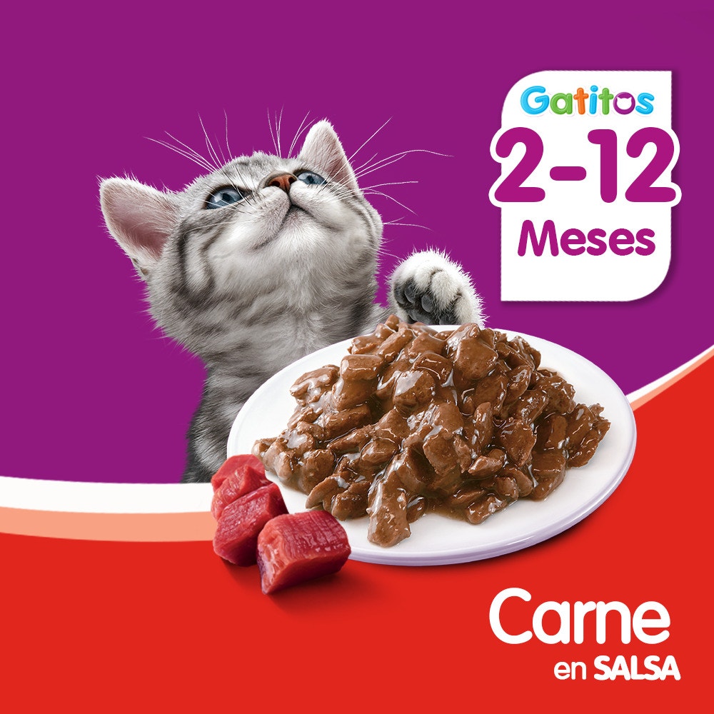 Whiskas Sobrecito Para Gatitos Carne en Salsa - 5