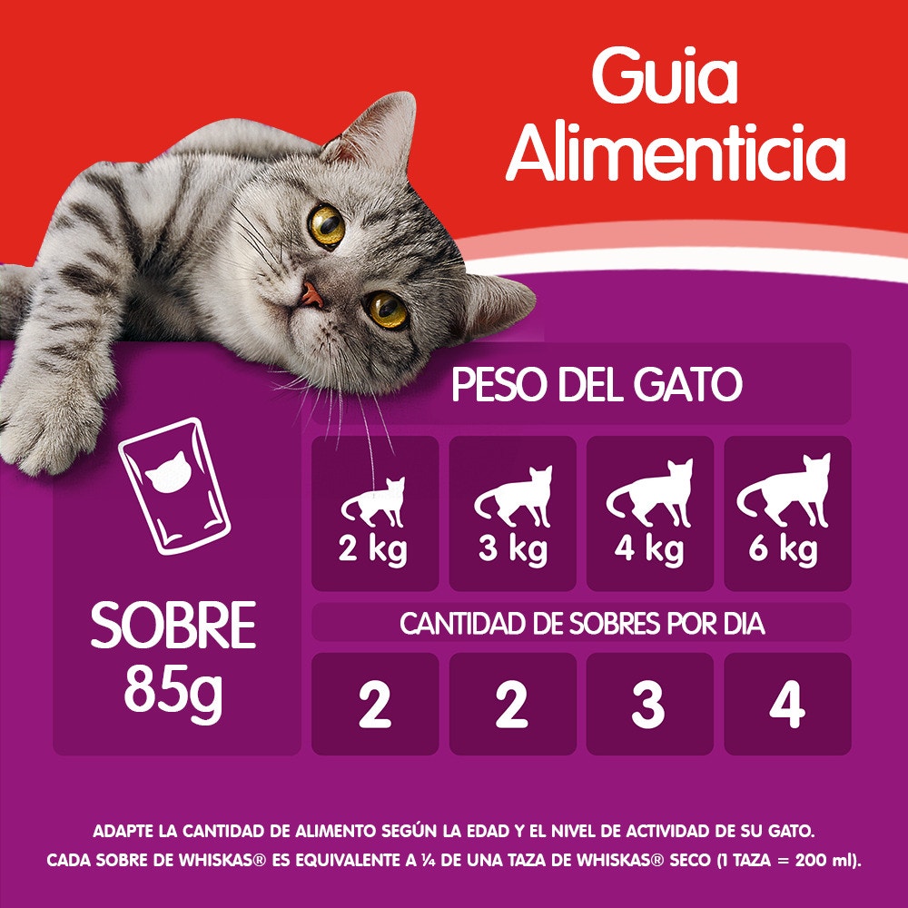 Whiskas Sobrecito Para Gatos Carne en Salsa - 6