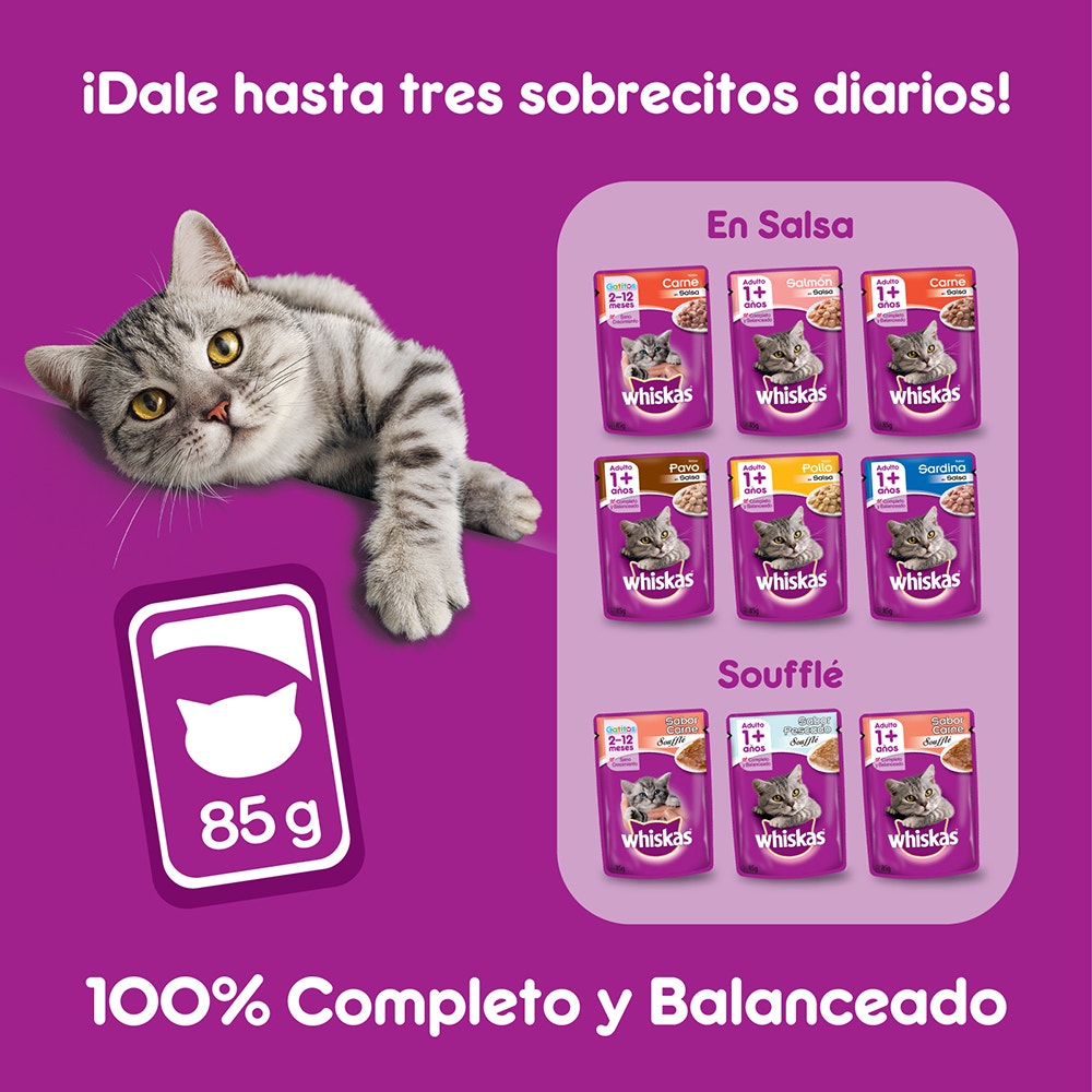 Whiskas Sobrecito Para Gatos Pescado en Soufflé - 7