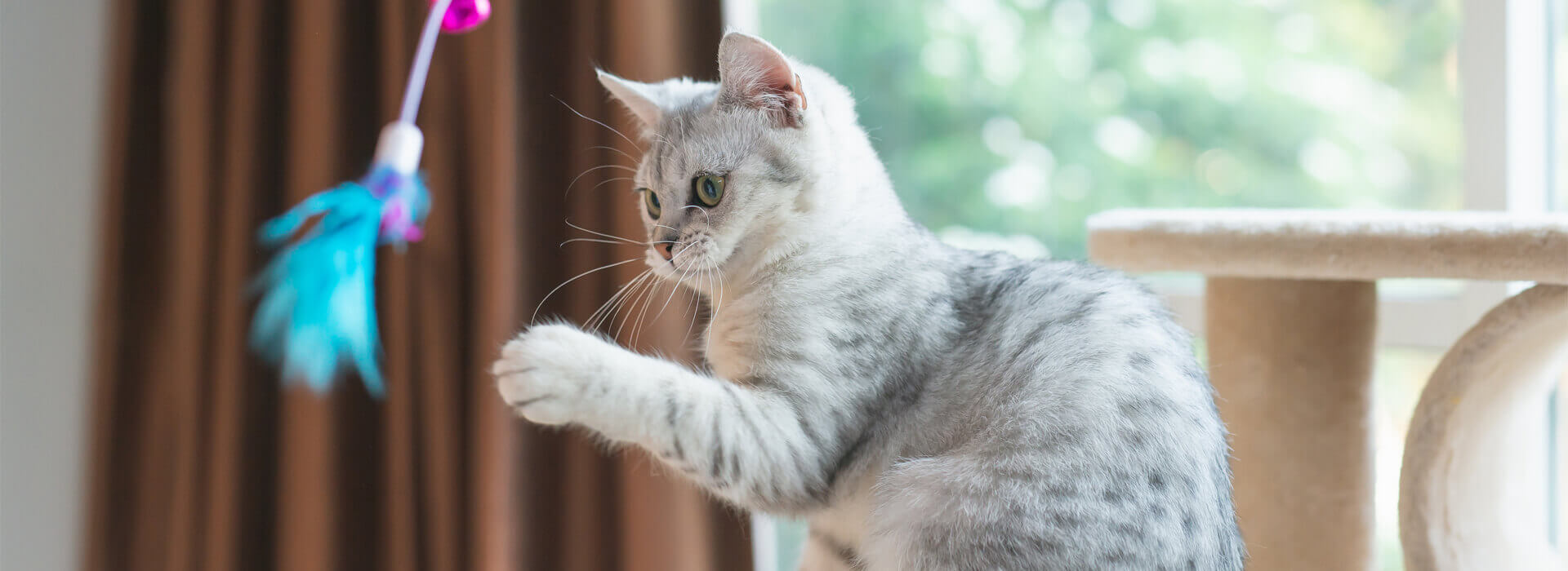 Brincadeiras-e-ambiente-desktop