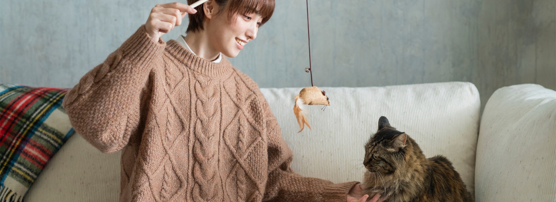 ¿Cómo juegan los gatos? Las mejores ideas para jugar con tu gato