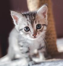 image-style-medium-2