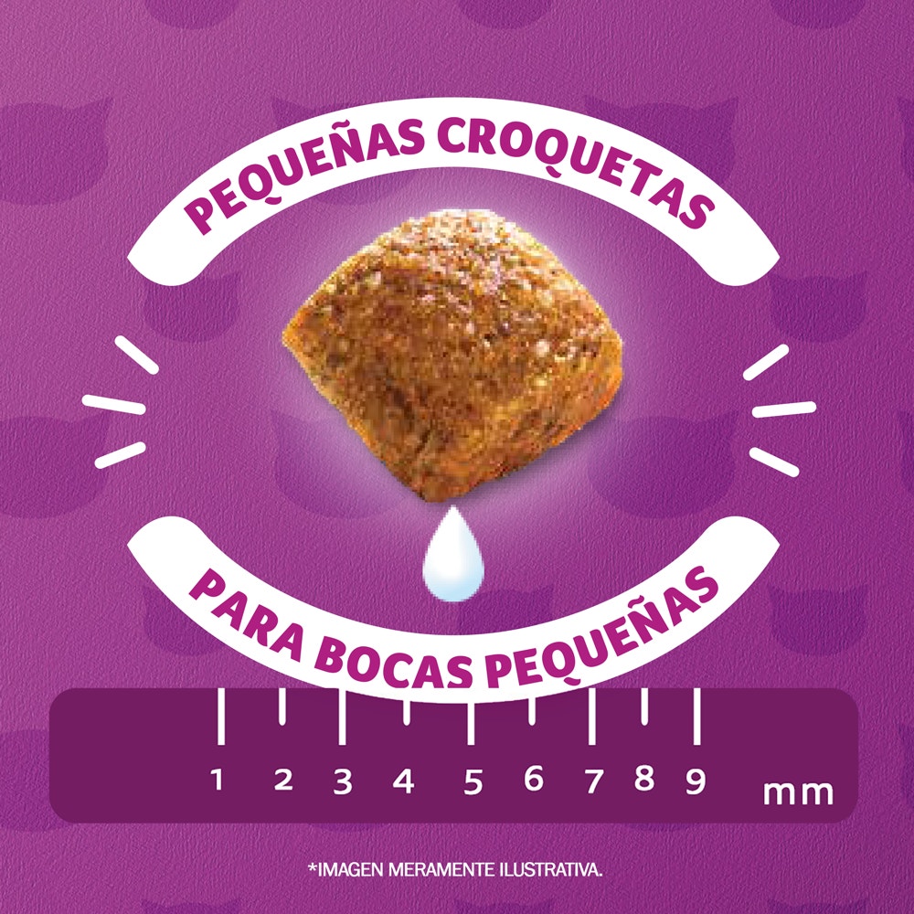 Whiskas Alimento Seco para Gatitos Carne y Leche - 4