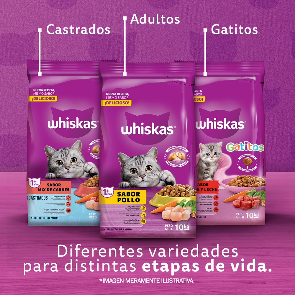 Whiskas Alimento Seco para Gatos Adultos Pollo - 7