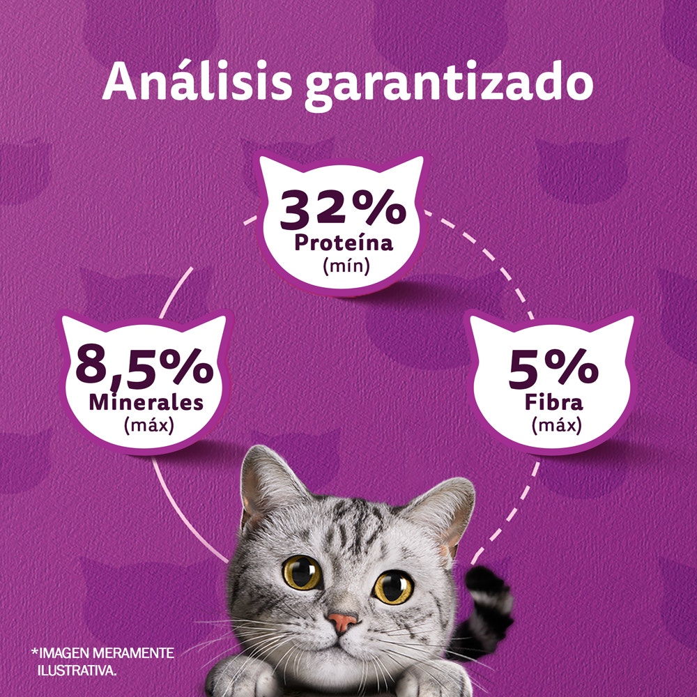Whiskas Alimento Seco Para Gatos Castrados Mix Carne - 5