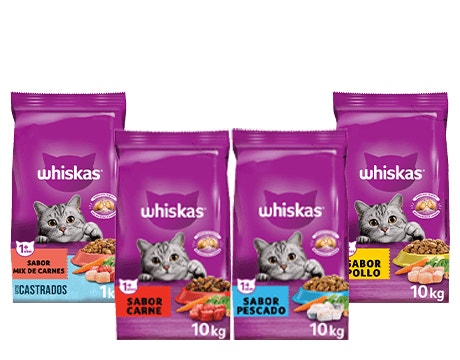 Whiskas Alimento Seco